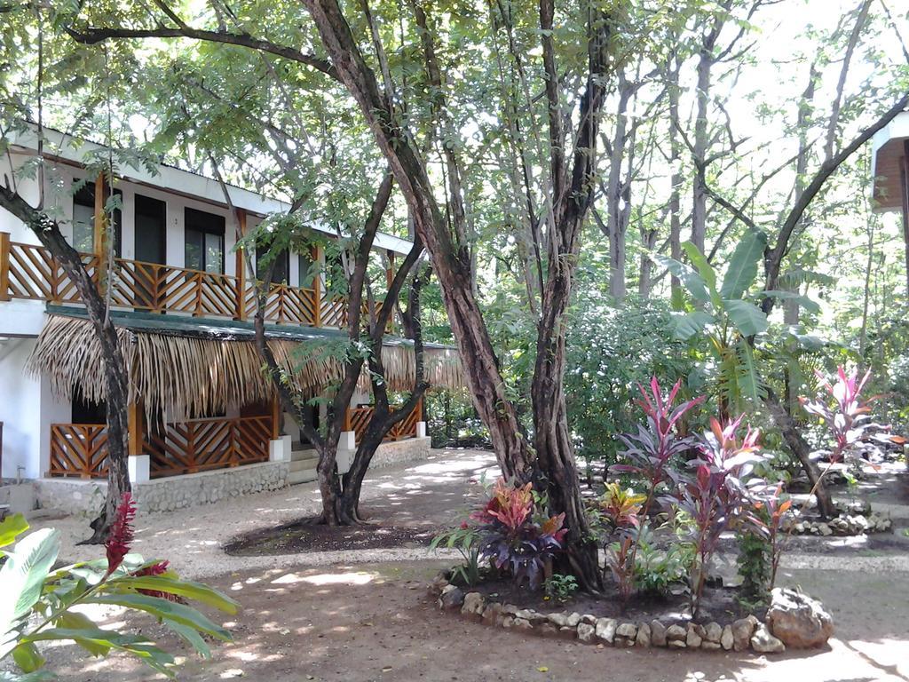 Mamma Rosa Aparthotel Playa Guiones Extérieur photo